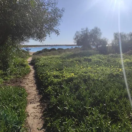Apartamento Encantador Com Piscina Tavira
